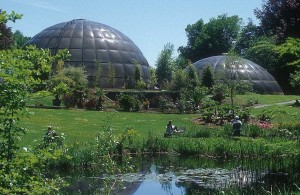 zurich-botanical-gardens-greenhouse-domes